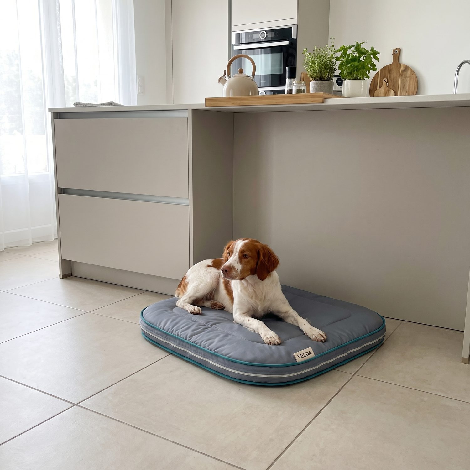 Gus, épagneul breton, sur son tapis Velda dans la cuisine